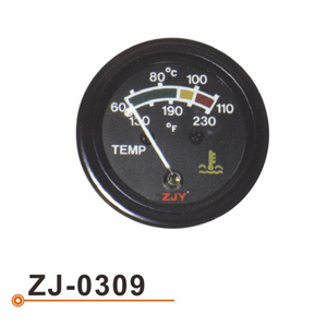 ZJ-0309 Water Temperarture Gauge